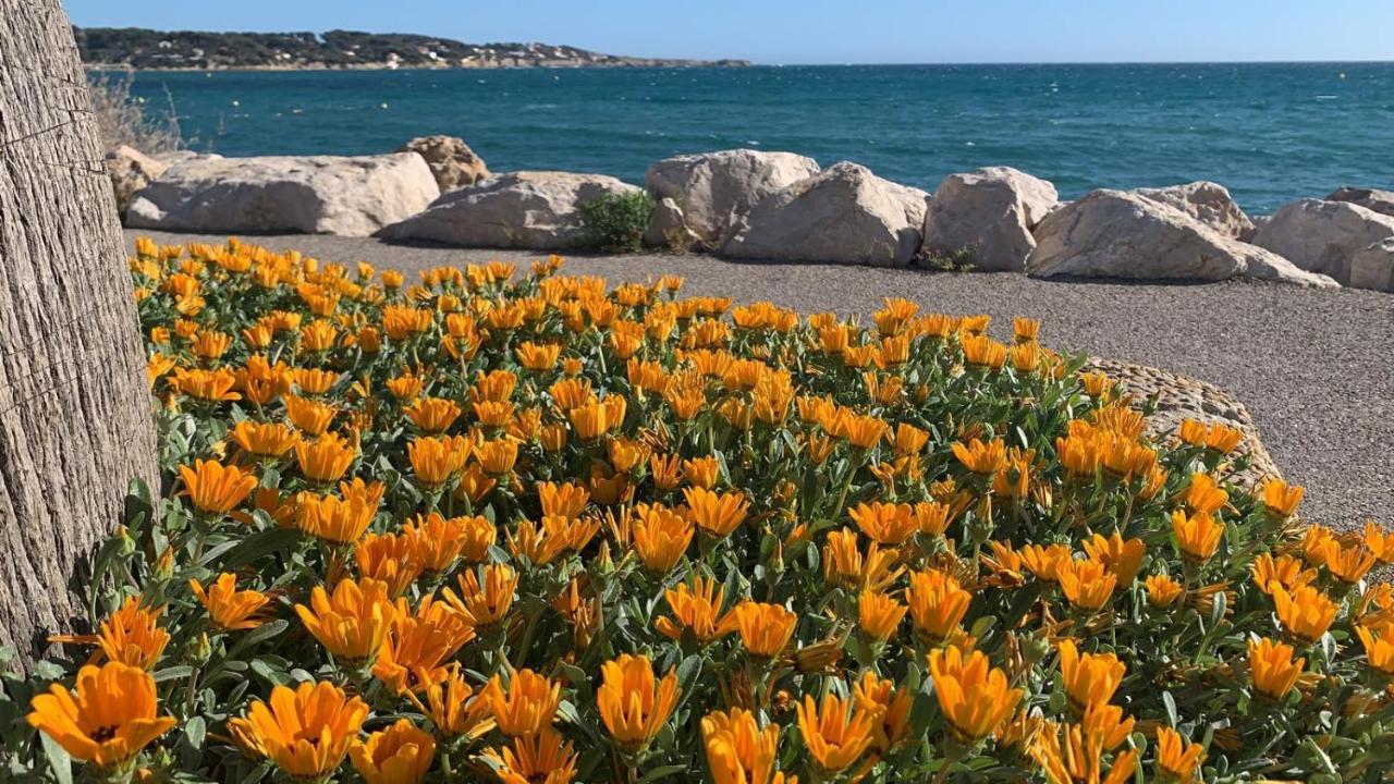 De La Marina Sanary-sur-Mer